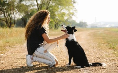 ¿Cuáles son los beneficios de las terapias con animales?